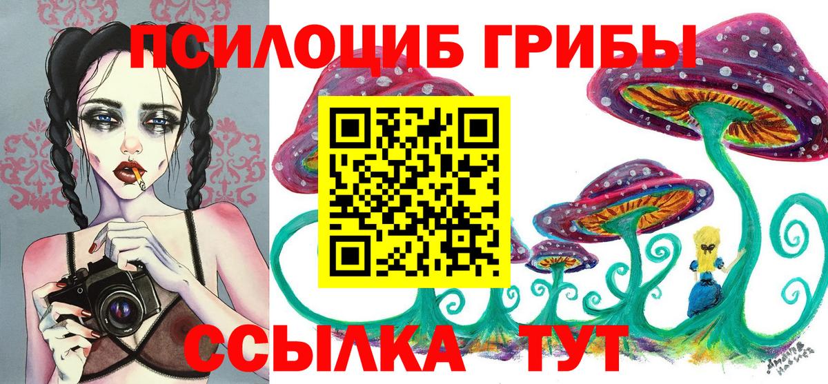 Галлюциногенные грибы мухоморы  Псилоцибиновые грибы ЛСД  Вход с VPN  Губаха 