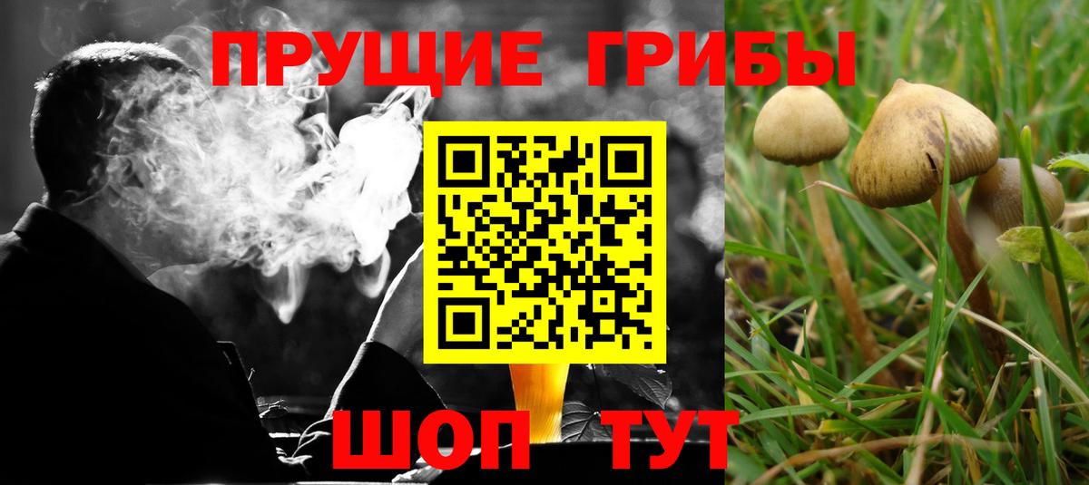 Галлюциногенные грибы мицелий Губаха